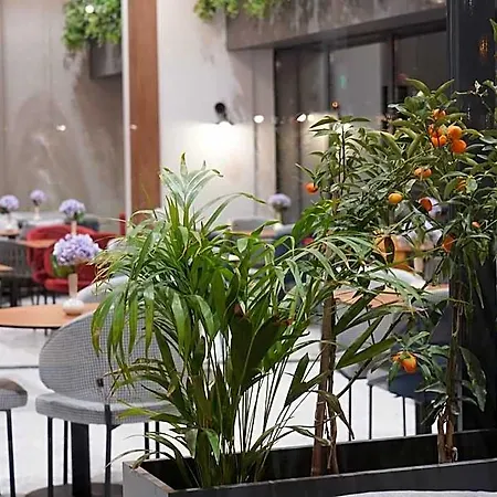 Ramada Encore By Wyndham Arnavutky 3*